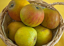 Malus Holsteiner Cox 4543.jpg